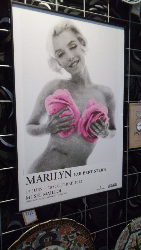 Expositie poster Marilyn, the last sitting, Bert Stern